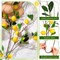 13 Pcs Faux Fruit Decoration Set Includes 3 Pcs 31.5 Inch Artificial Lemon Branch 10 Pcs 3 x 2